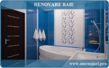renovare baie